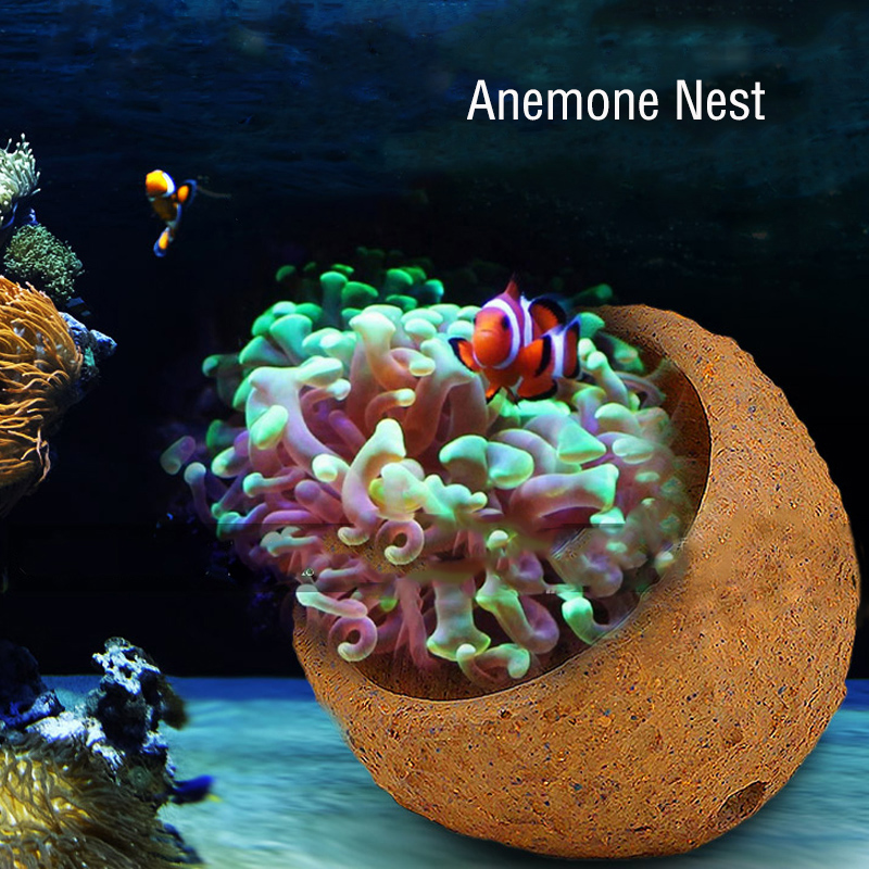 Marine Aquarium Live Sand - Anemone Nest Prevent Running Away Clay