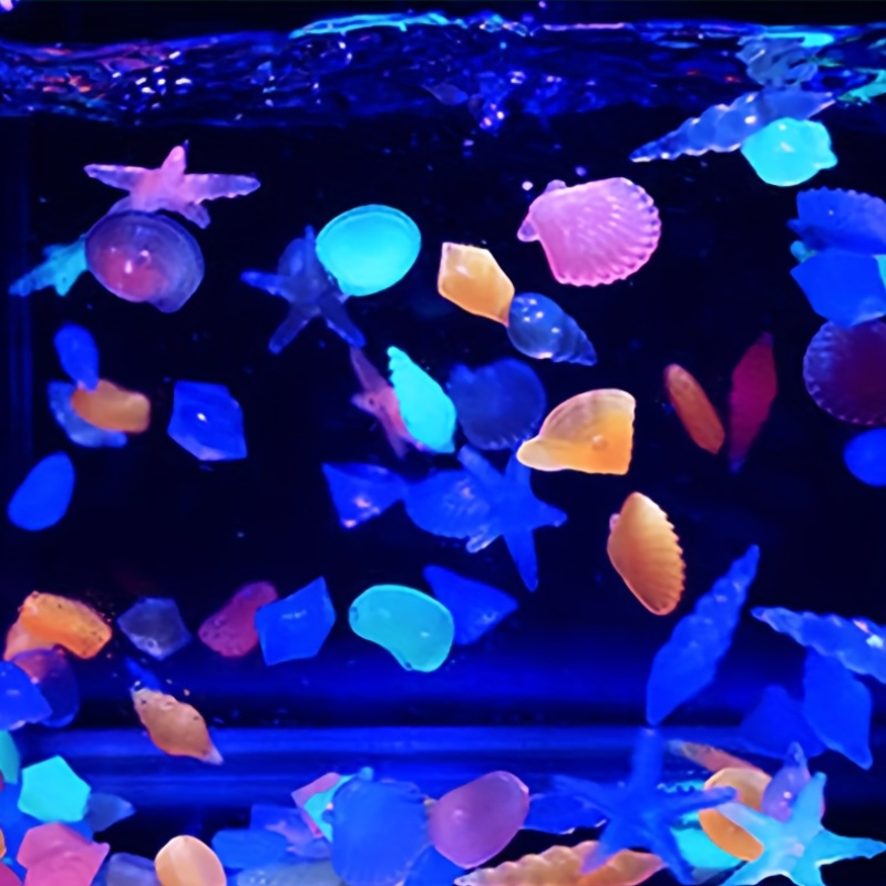 100PCS Marine Luminous Stones, - Aquarium Marine Color 评论和价格