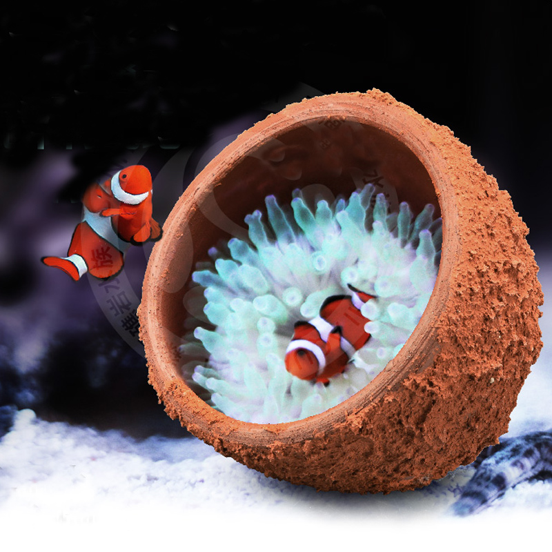 Anemone Nest Prevent Running A - Marine Aquarium Live Sand 评论和价格