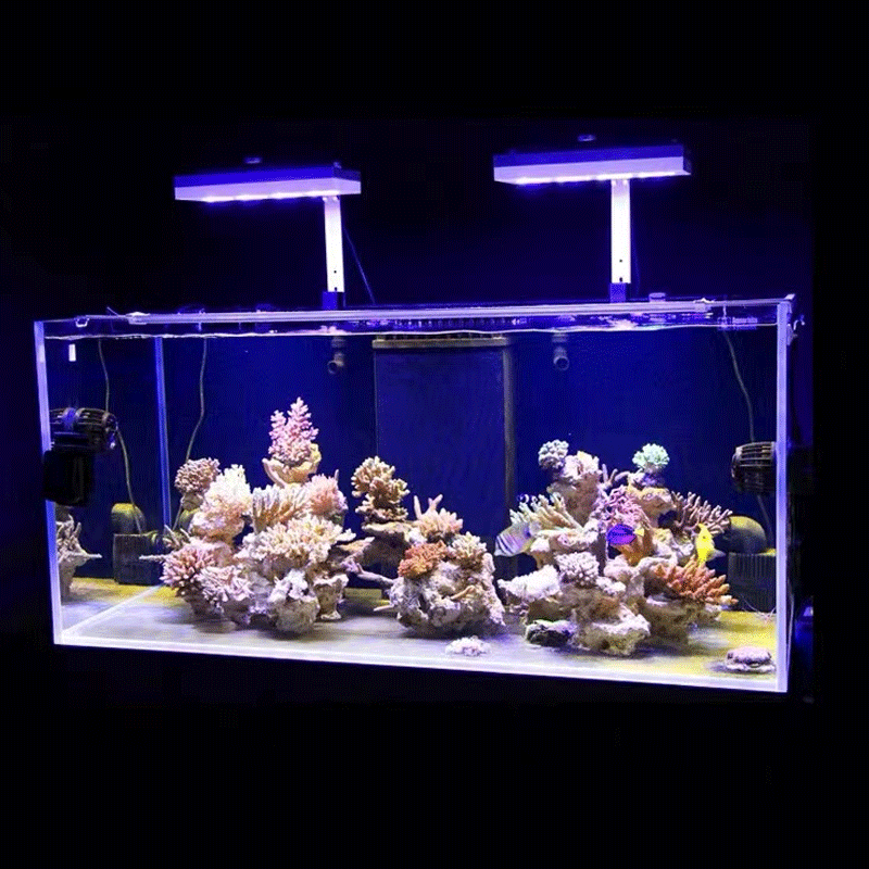Aqua Illumination AI Hydra 32H - Marine Aquarium Led Lights 评论和价格
