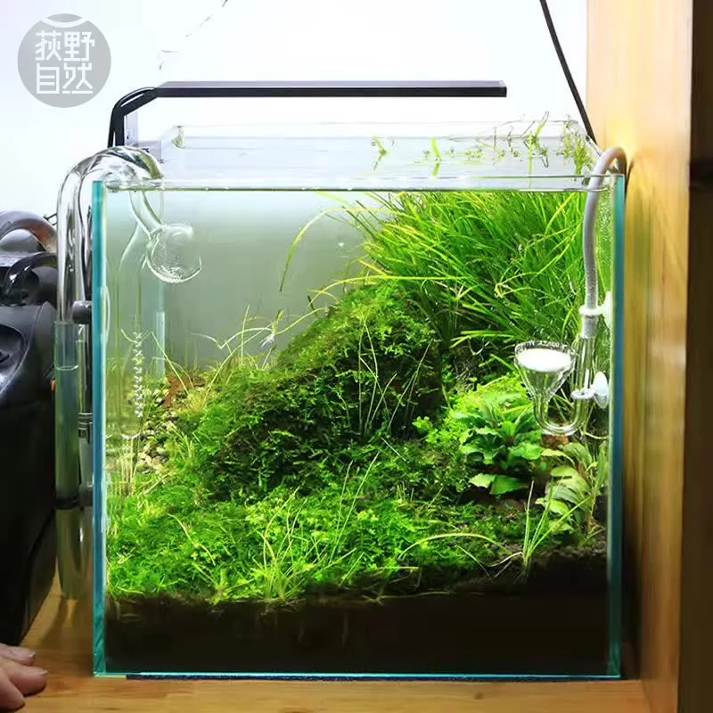 Chihiros C Series ADA Style Pl - Marine Aquarium Led Lights 评论和价格