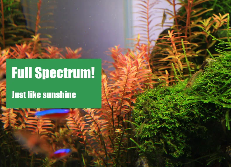 Chihiros C Series ADA Style Pl - Marine Aquarium Led Lights 评论和价格