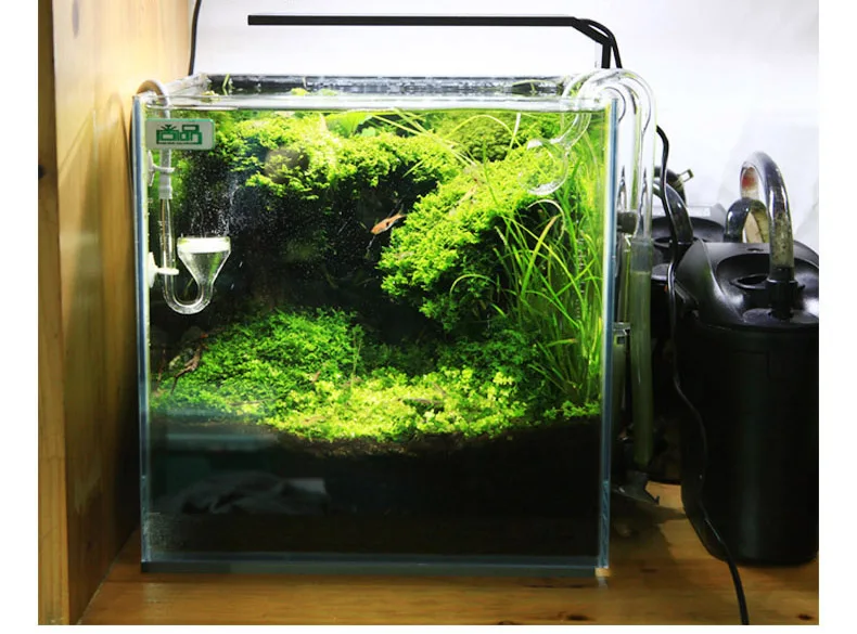 Chihiros C Series ADA Style Pl - Marine Aquarium Led Lights 评论和价格
