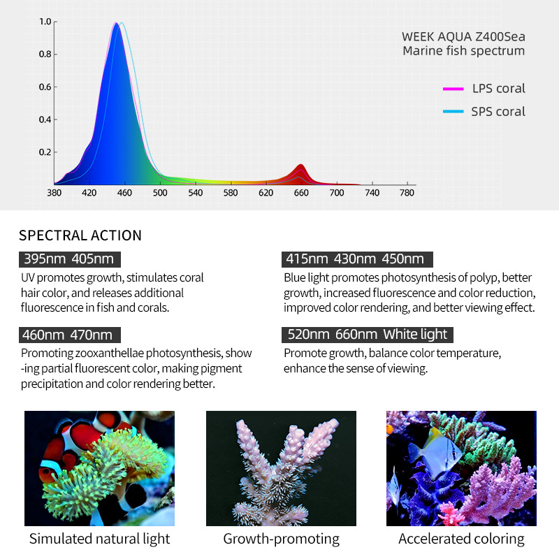 ZXY Hot Sale WEEKAQUA Z250 Z40 - Marine Aquarium Led Lights 评论和价格
