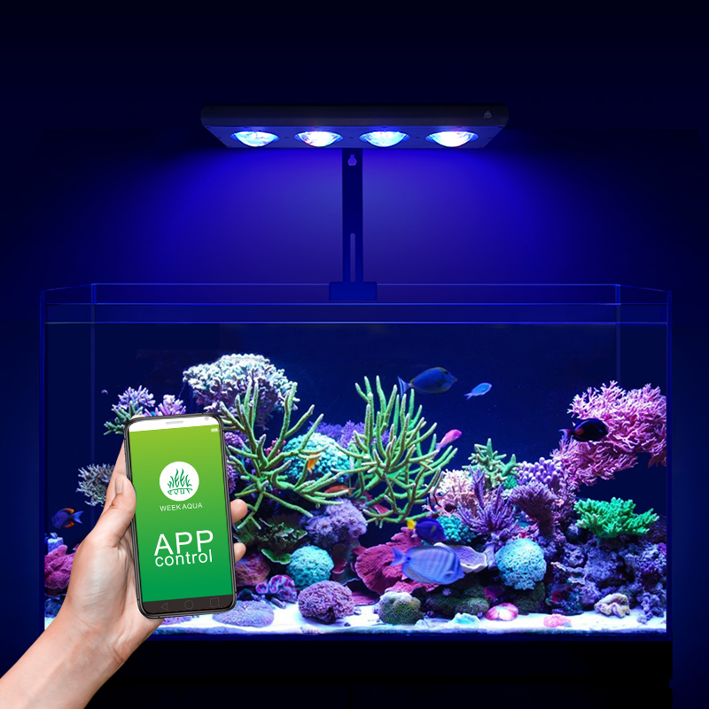 ZXY Hot Sale WEEKAQUA Z250 Z40 - Marine Aquarium Led Lights 评论和价格