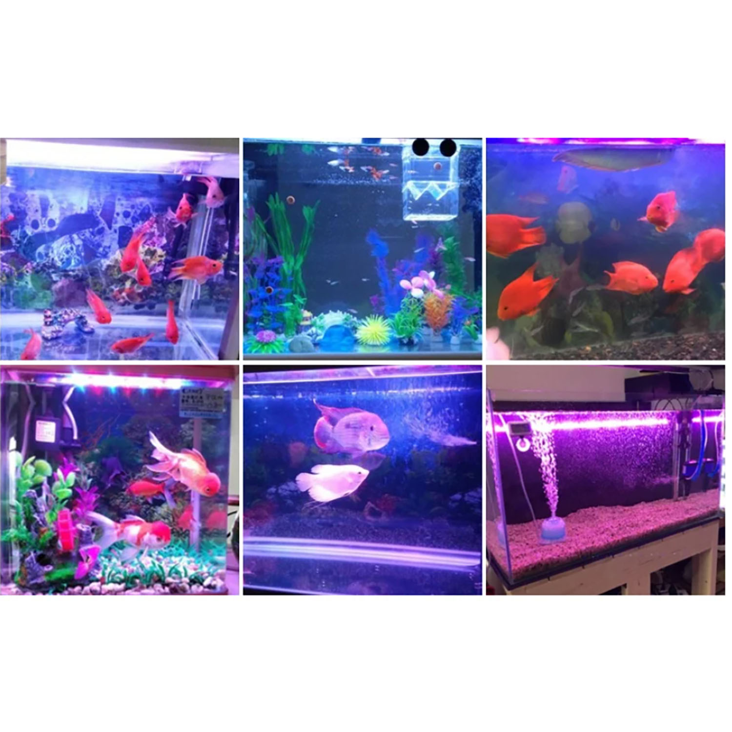 50W 60W 70W 100W RGB 26-28V Hi - Aquarium Marine Color 评论和价格