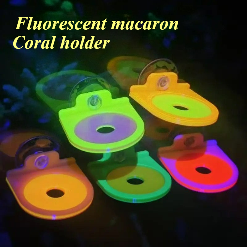 Color Random Coral Frag Holder - Aquarium Marine Color 评论和价格