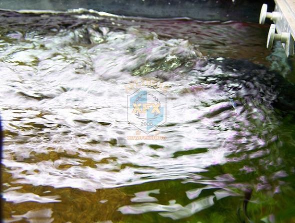 sunsun Jvp-200 newest waver ma - Aquarium Marine Color 评论和价格