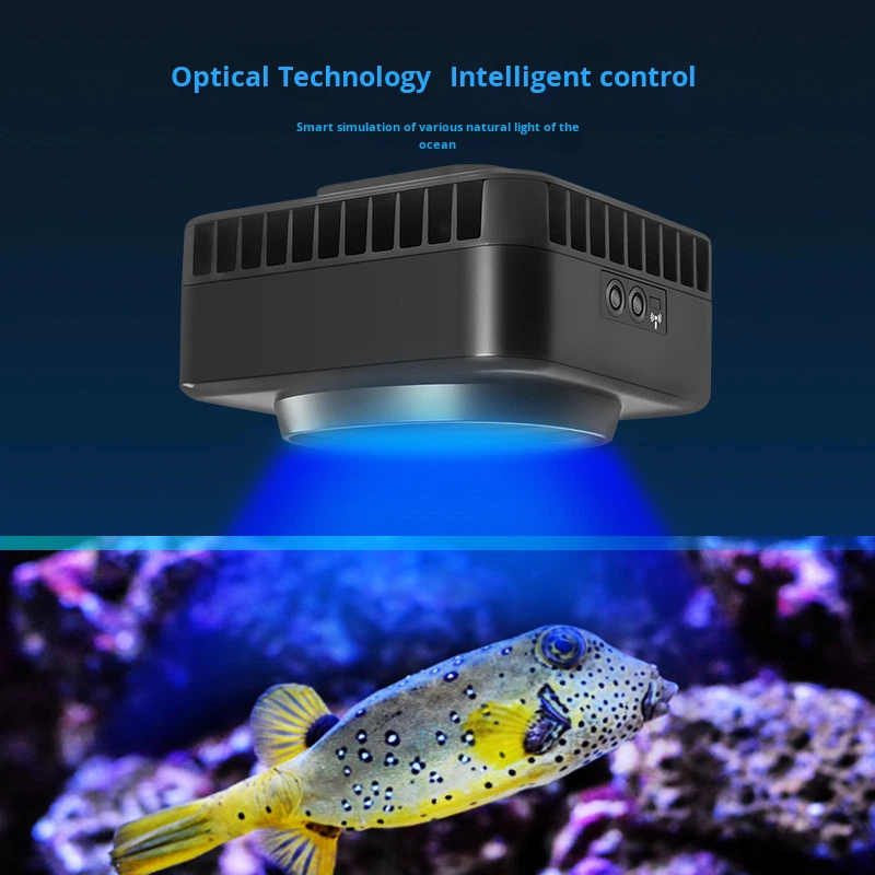 Jebao GSQ Smart Marine Coral L - Aquarium Marine Color 评论和价格